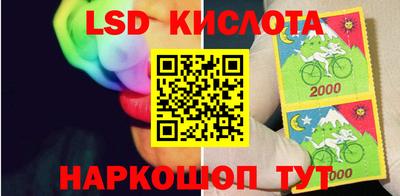 спайс Гатчина